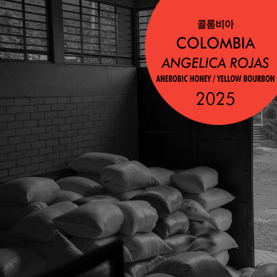 2025 콜롬비아 앙헬리카 로하스