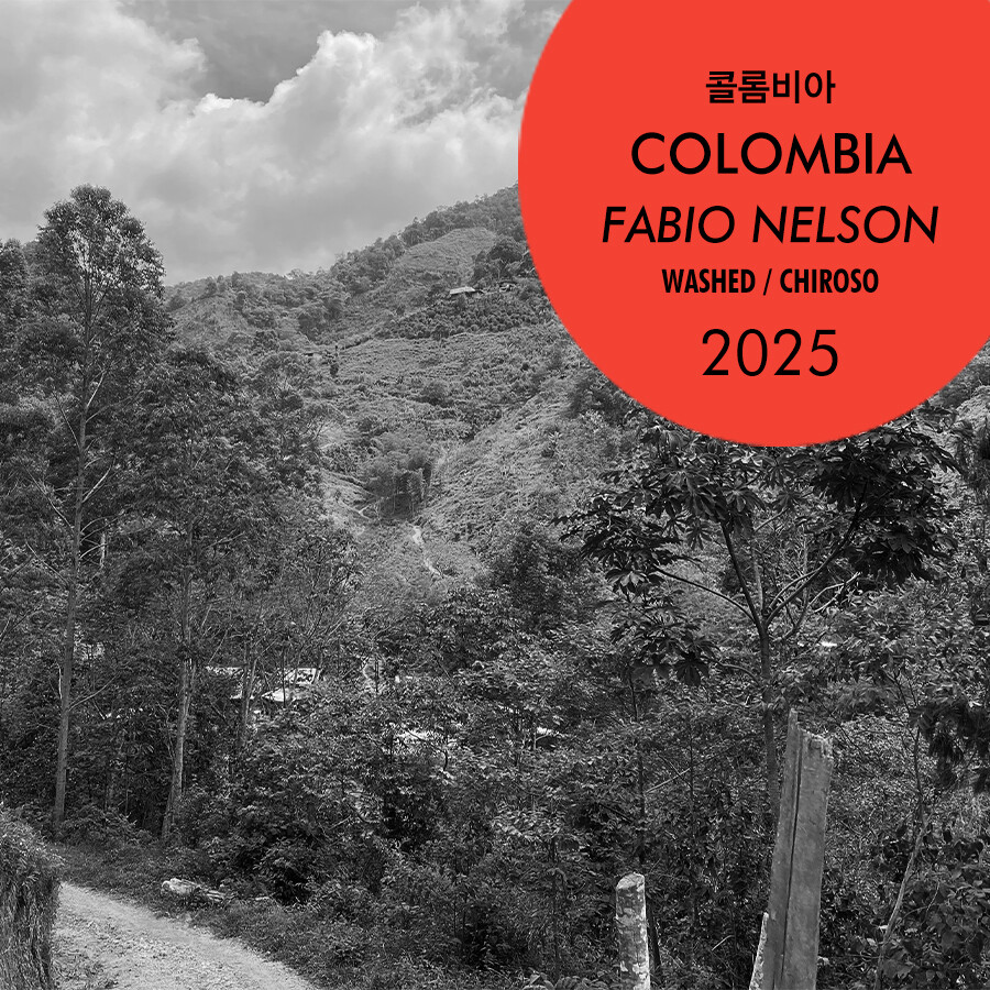 2025 콜롬비아 파비오 넬손 치로소