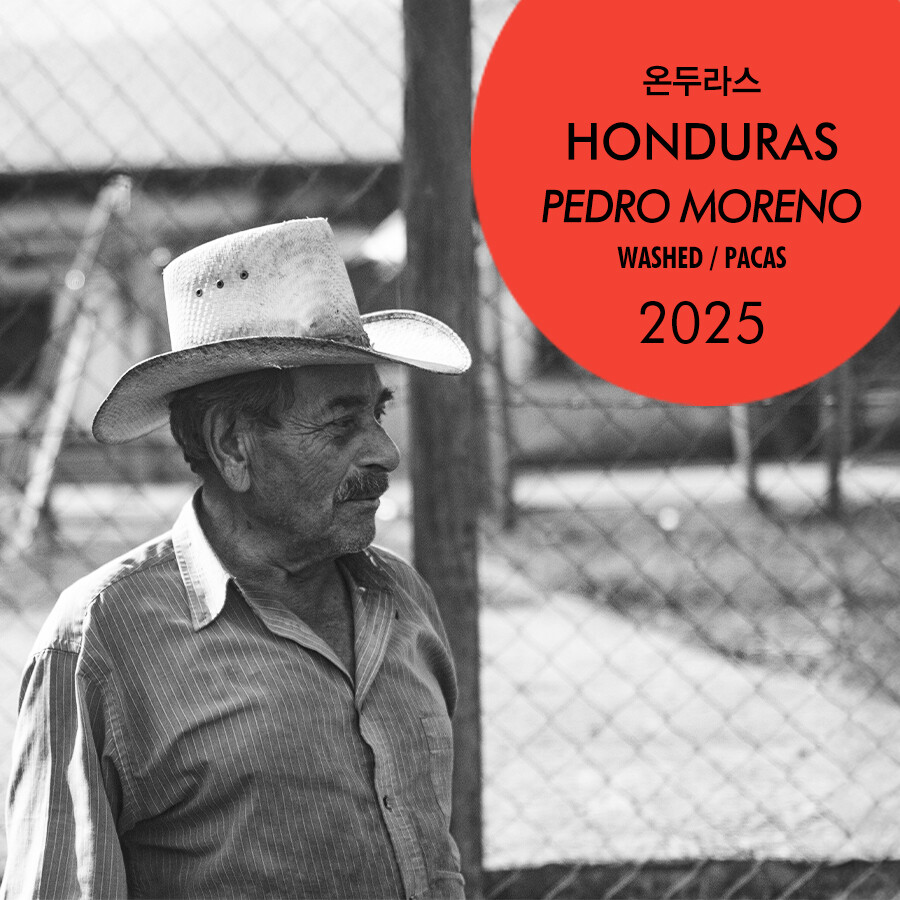 2025 온두라스 페드로 모레노