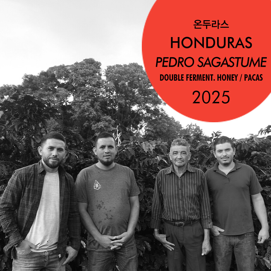 2025 온두라스 페드로 사가스투메