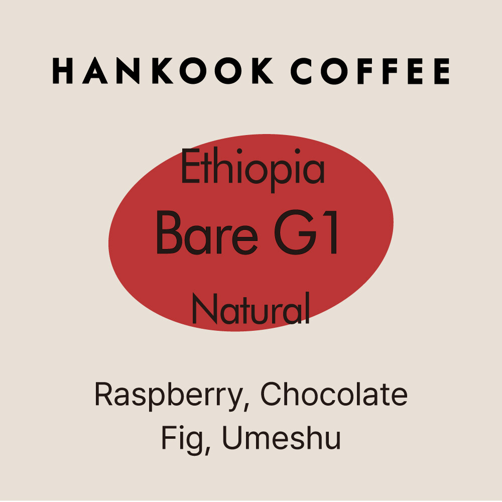 에티오피아 바레 G1 내추럴
