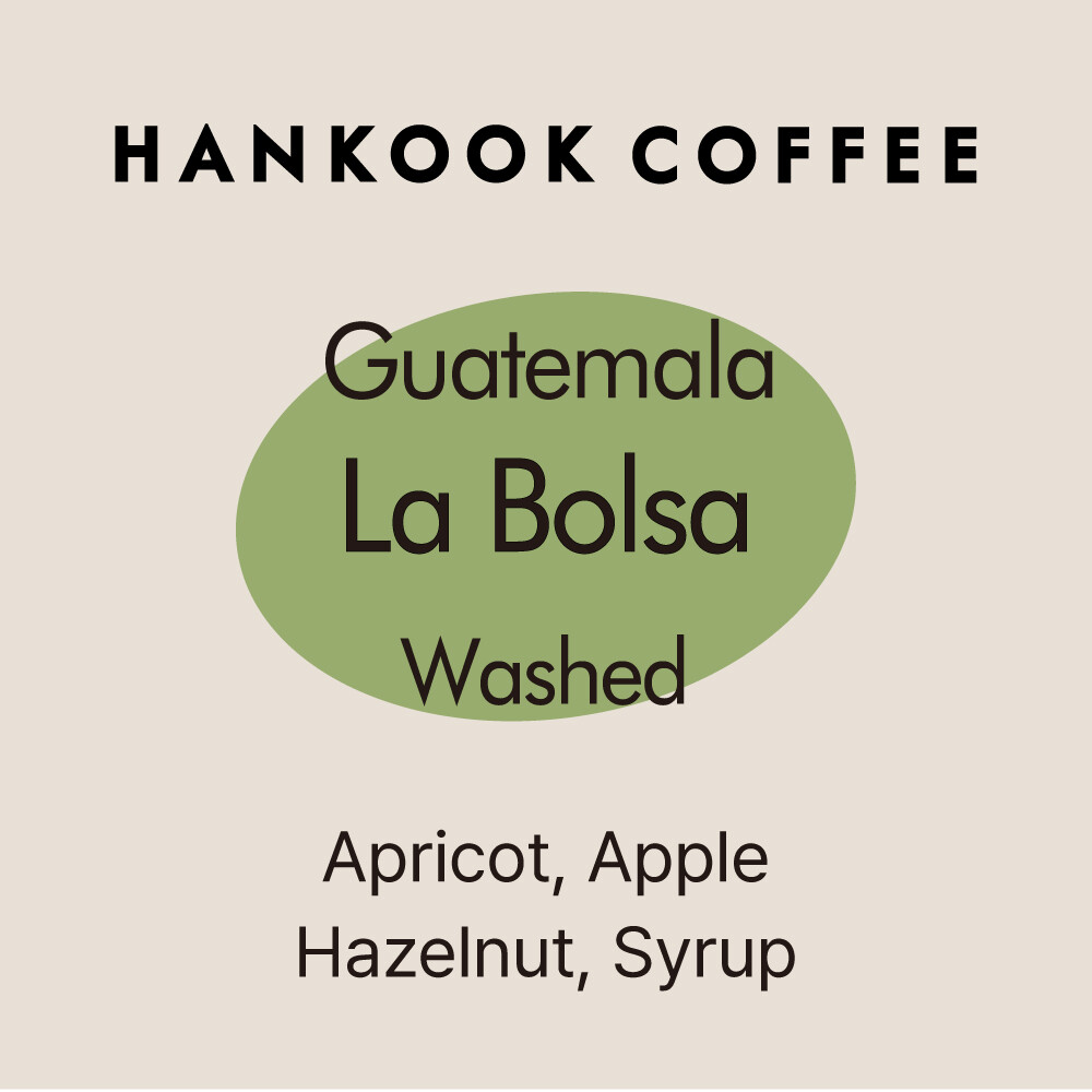 과테말라 라 볼사