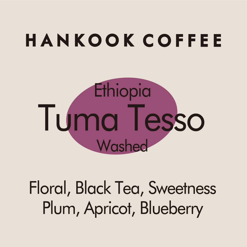 에티오피아 투마 테소 G1 워시드