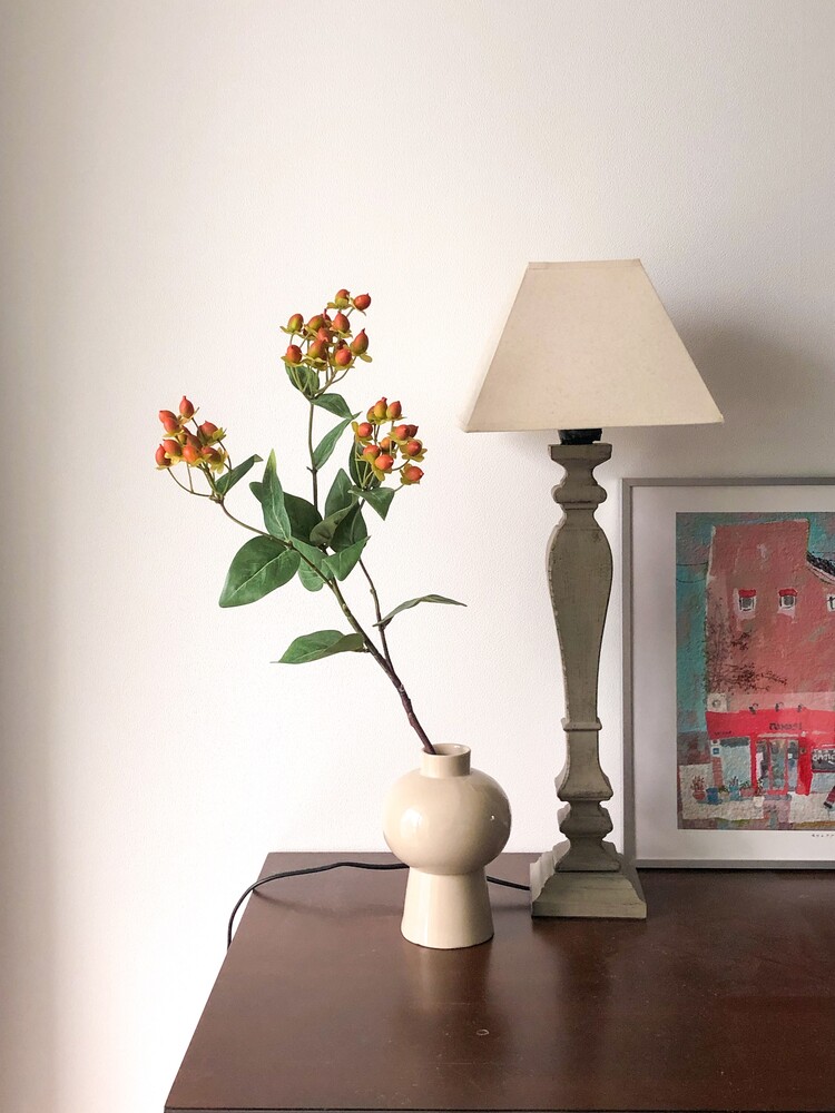 Orange hypericum berries (1대) Amaranthine Blooms