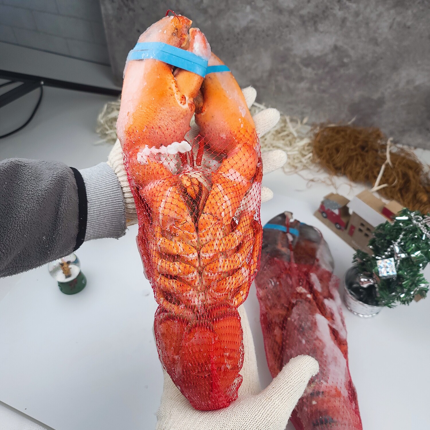캐나다 자숙랍스터 캐나다 자숙랍스터