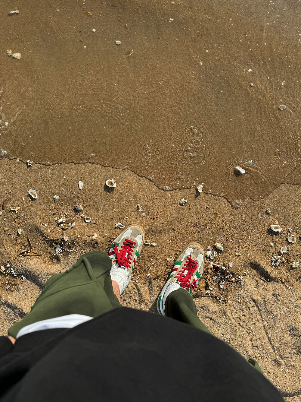 image_1711895576776_1000