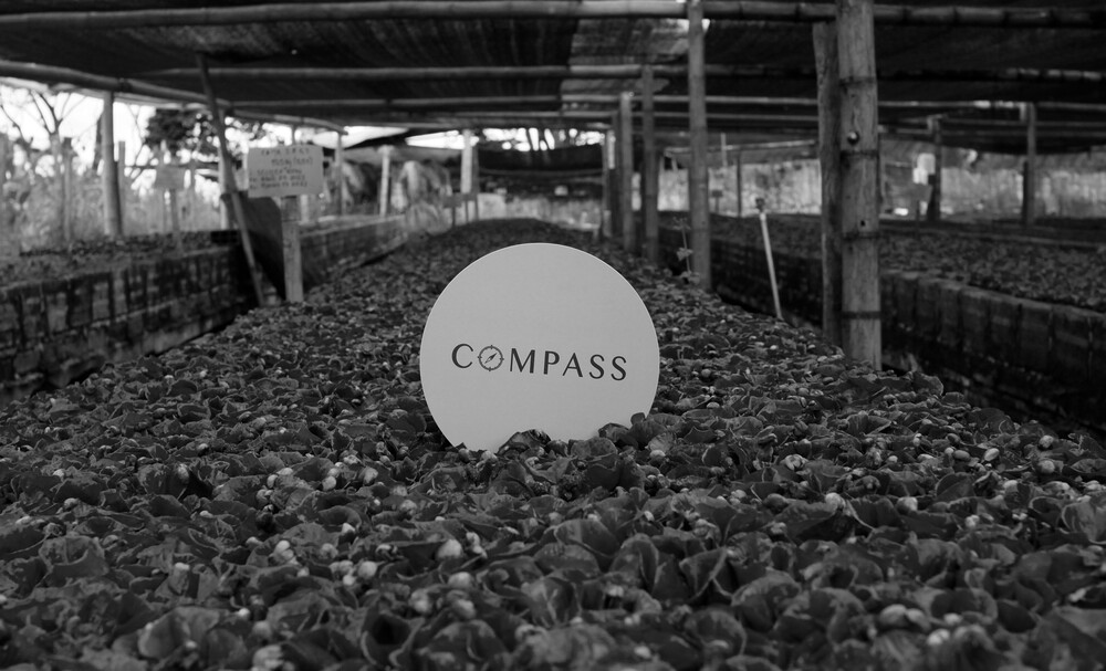 About 콤파스 커피 컴퍼니