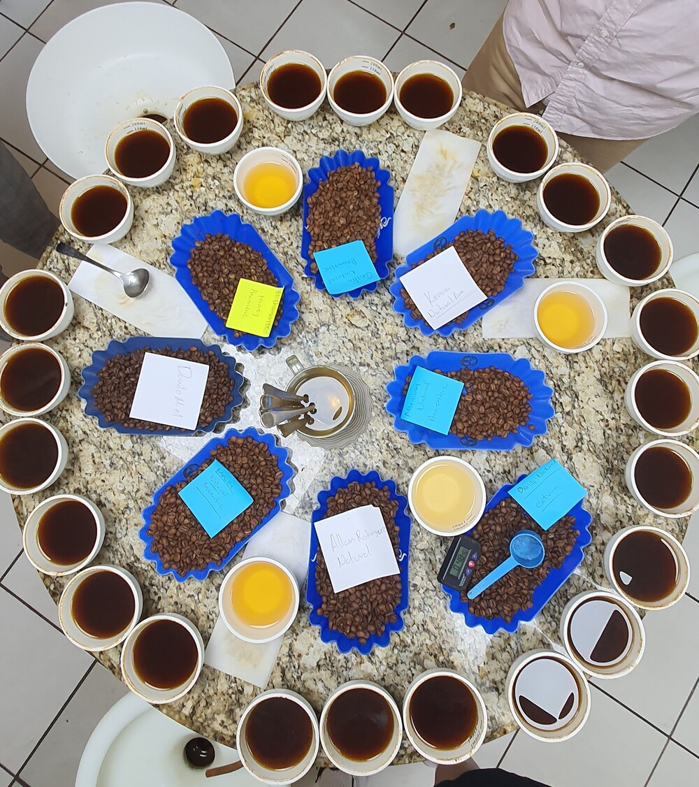 Cupping in Costa Rica