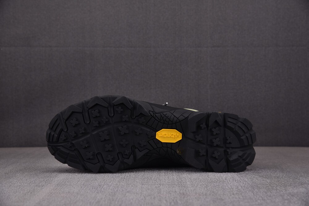 로아 카타리나 올리브 레플리카