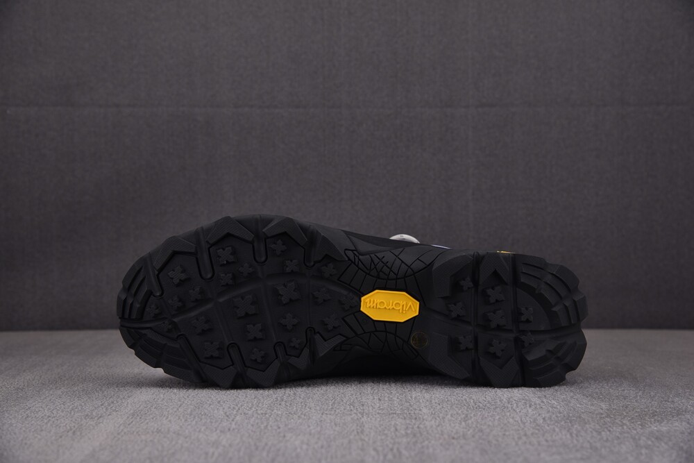 로아 카타리나 퍼플