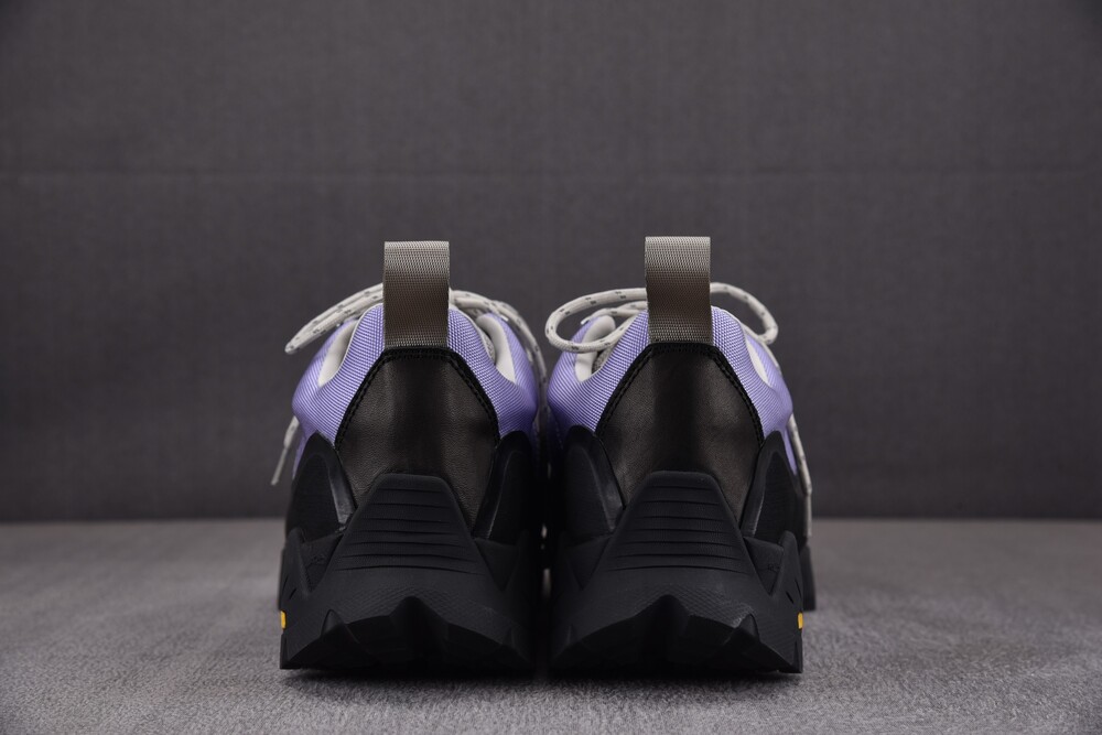 로아 카타리나 퍼플