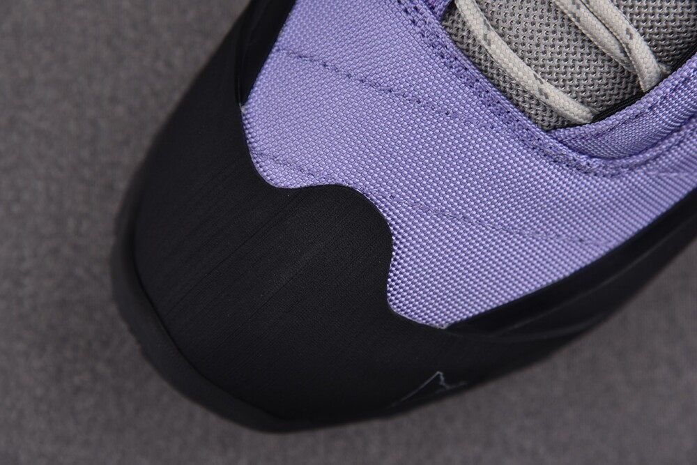 로아 카타리나 퍼플