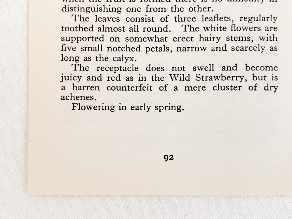 1969 promenade book's berries print