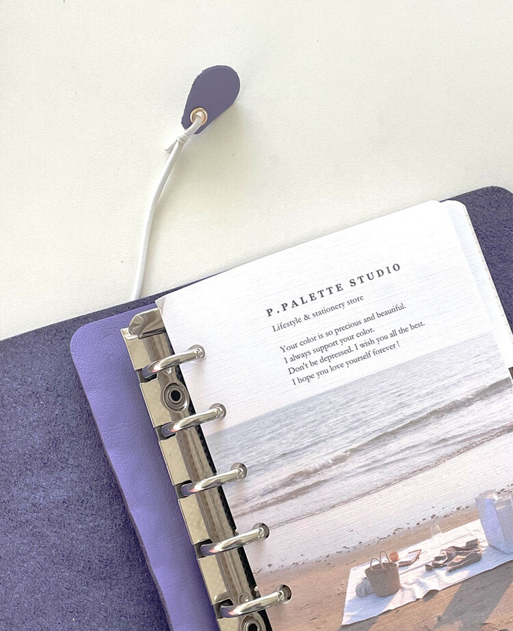 Mini purple diary