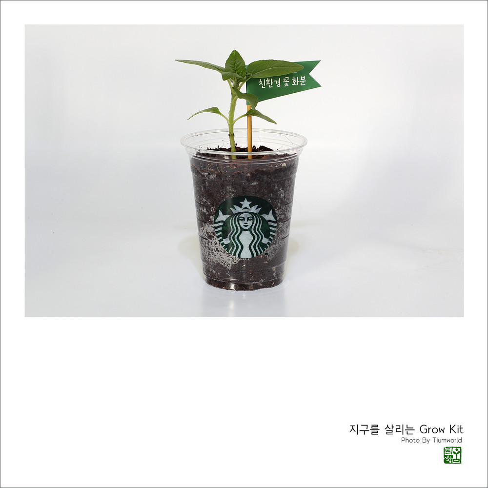My Image 71