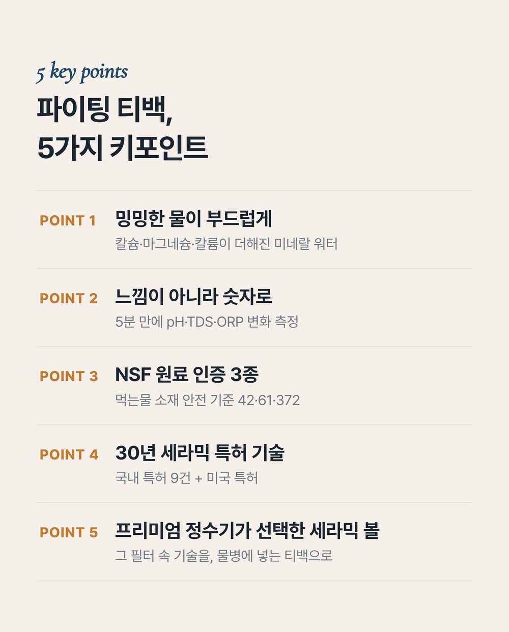파이팅 티백 7일 루틴