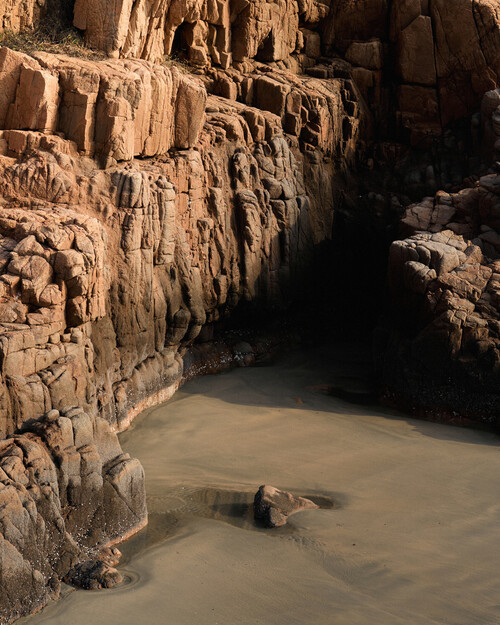 Worthwhile Movement (월스와일 무브먼트 )