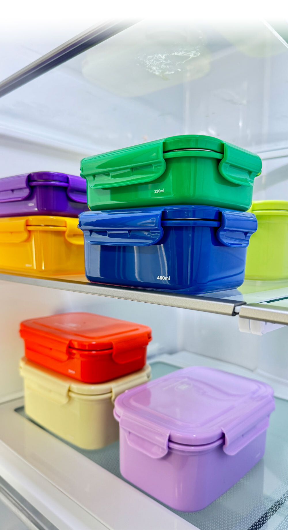 지켜텐 320ml 480ml 560ml 1100ml 비비드컬러 파스텔컬러 냉장고에 정리되어있는 컬러풀한 스텐 밀폐용기