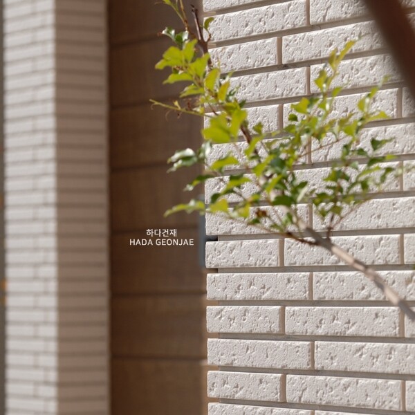 아이코트료와 윙보더타일 13M / 하다건재 일본타일 아이콧료와 ICOTRYOWA