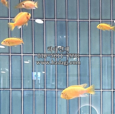 직각 모자이크타일 45x145x6T 티파니 유광 / 하다건재