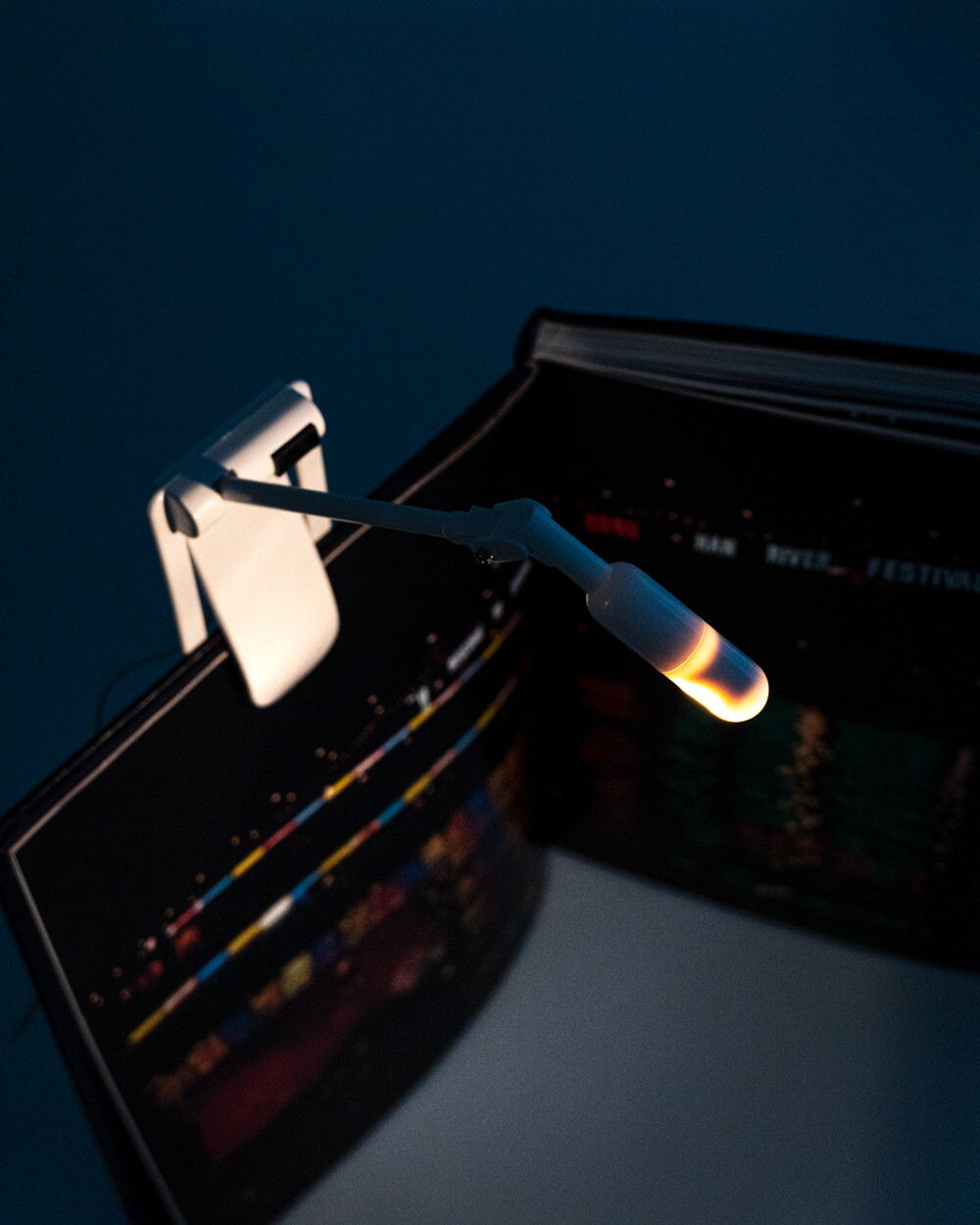 Zelco 'Itty Bitty' Book Light