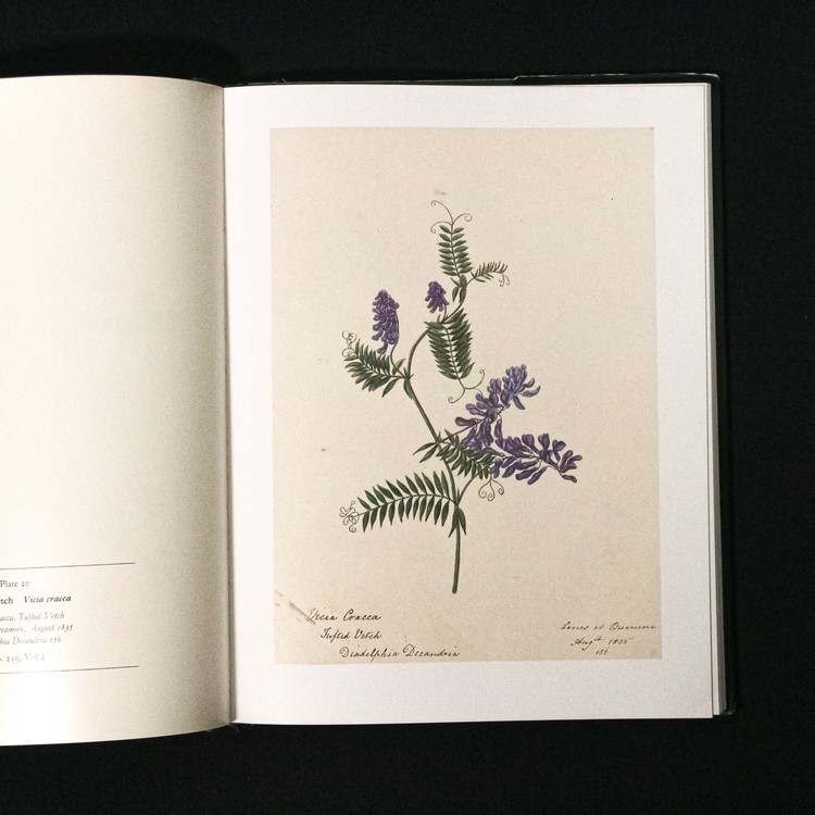 The Flowers of May (재입고)