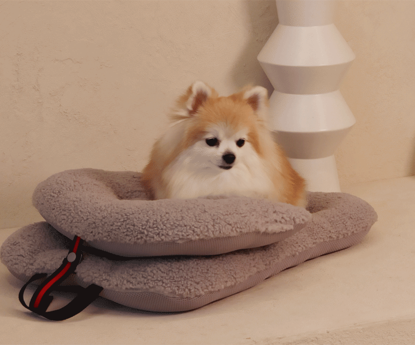 헤리스펫뽀글이라이너, 해리스팻푹신한라이너, 해리스펫핑크라이너, 뽀글이핑크라이너, 강아지라이너, 해리스펫라이너