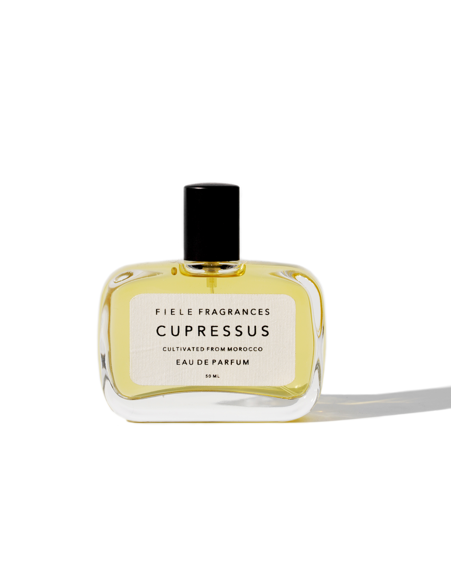[Fiele Fragrances] Cupressus EDP 50ml