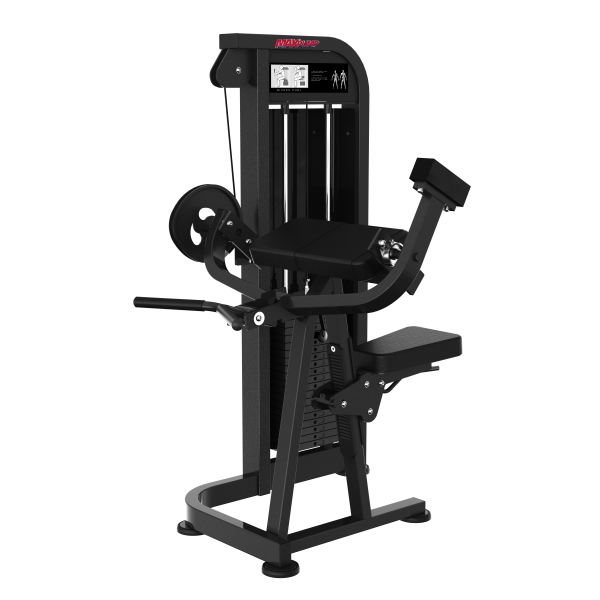 (Elite) Arm Curl Biceps