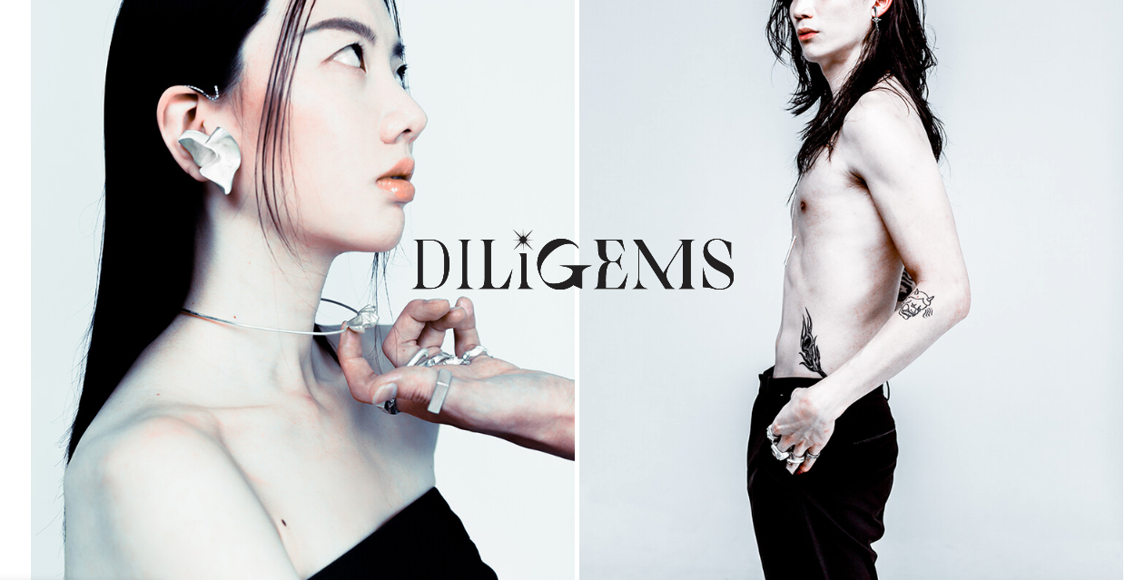 Diligems (KR)