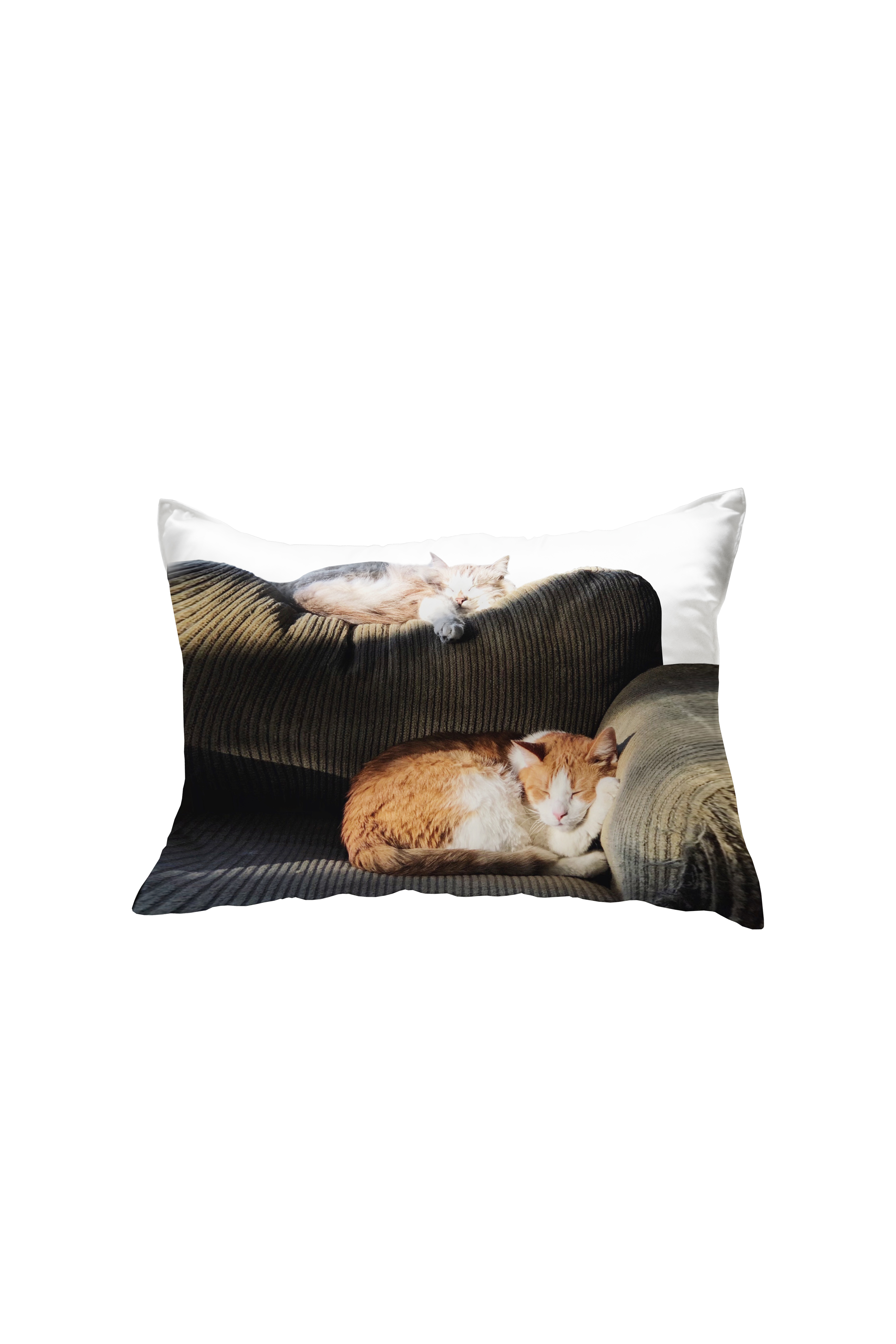 sofa cat pillow cover