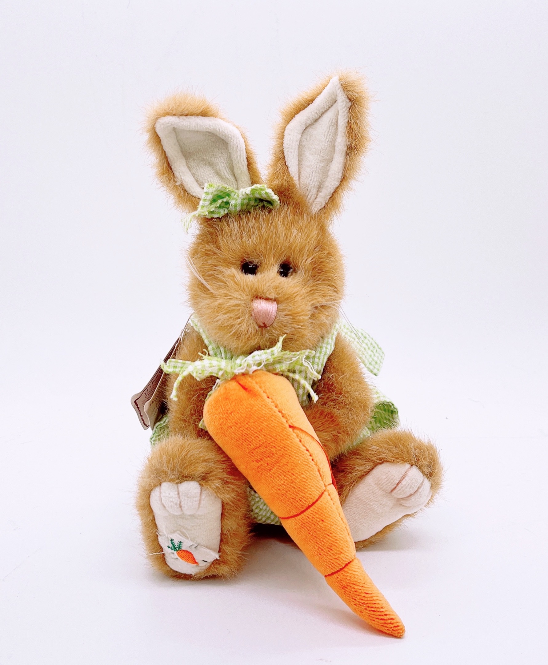 Holding a carrot country bunny