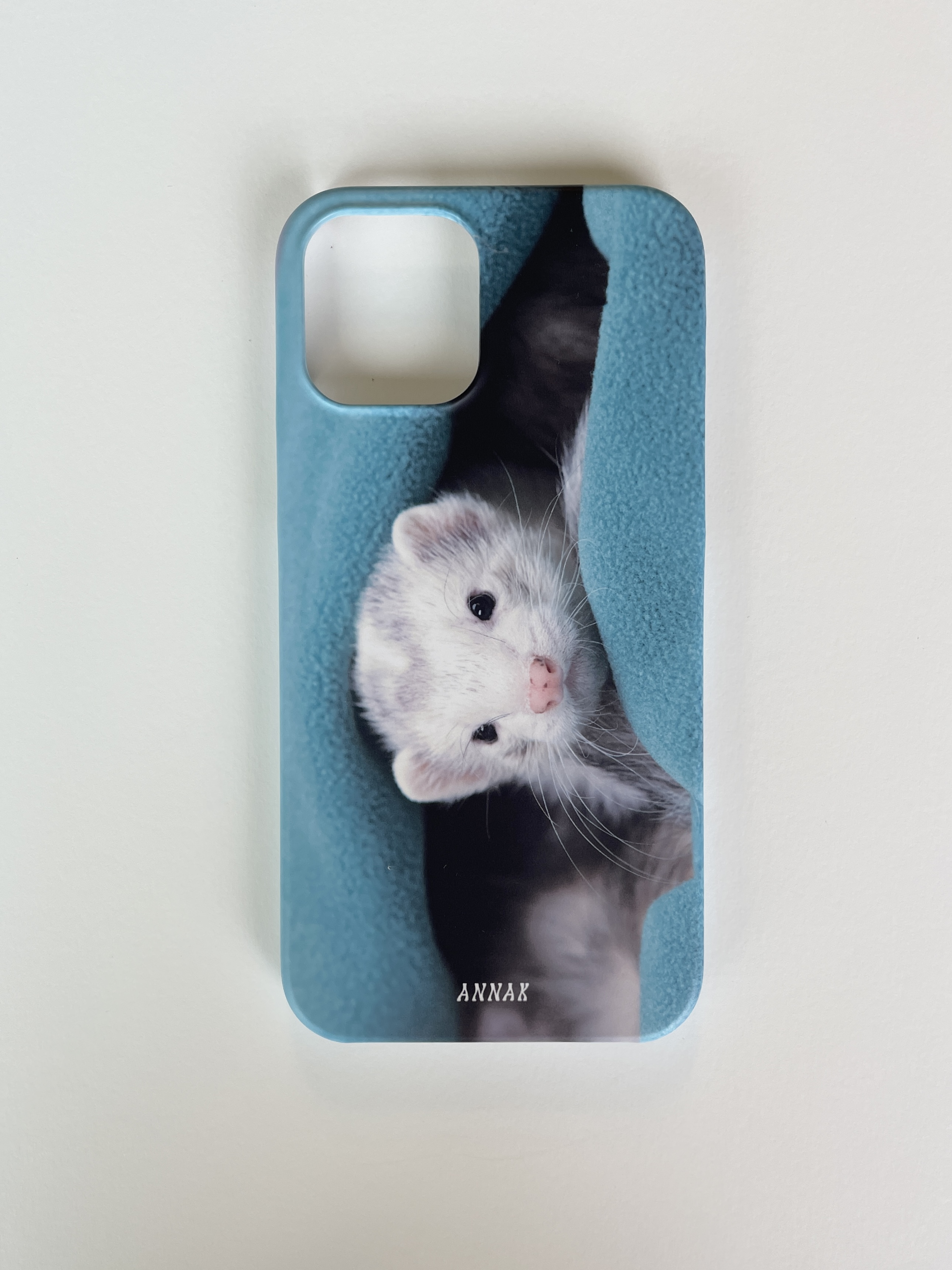[ SAMPLE SALE ! ] my blue blanket ferret sample case