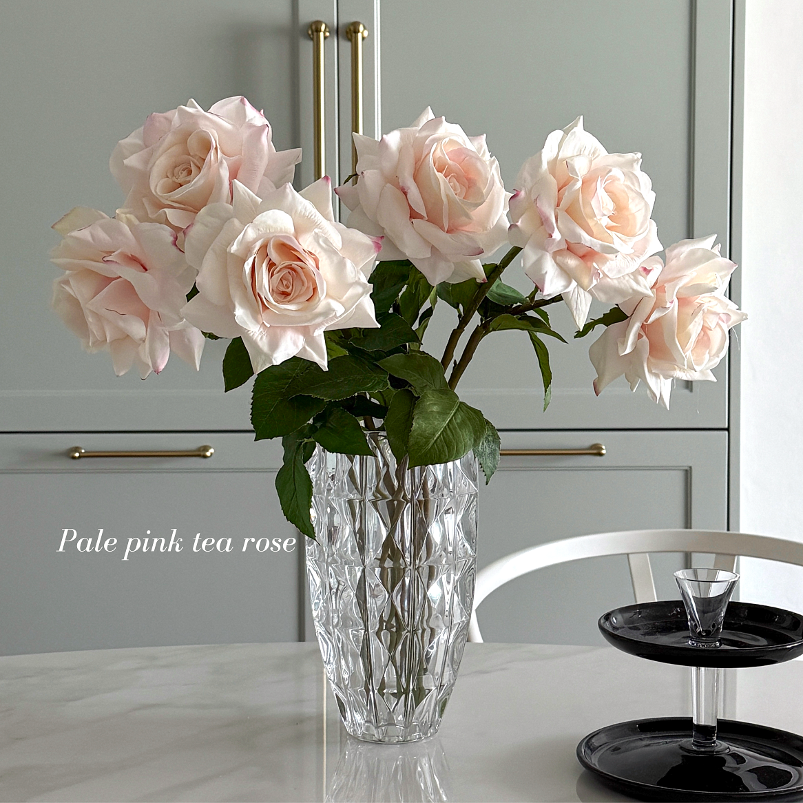 Pink Tea Rsose Pale pink tea rose (1송이) - Amaranthine Blooms
