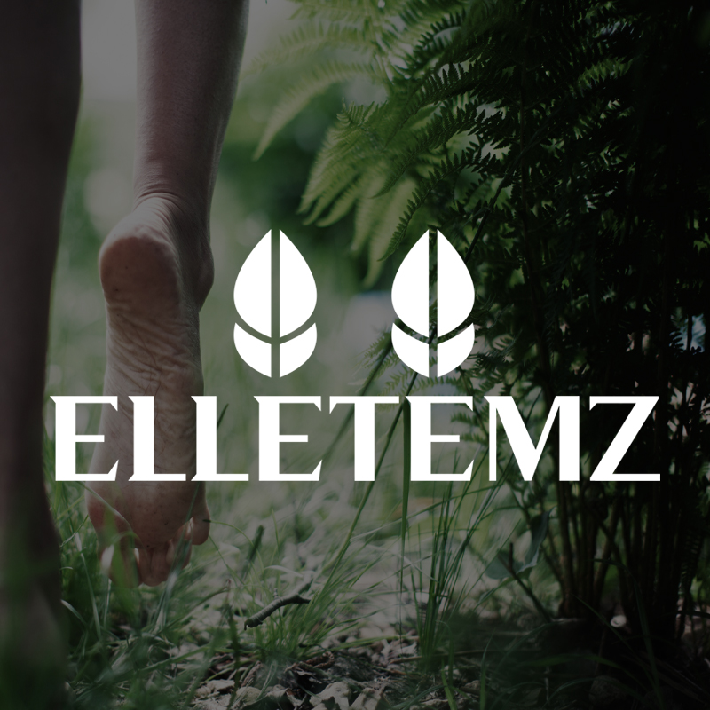 elletemzus.com