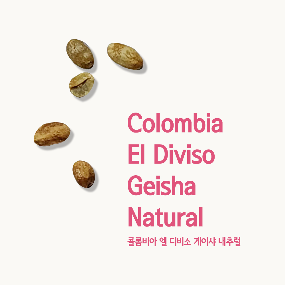 콜롬비아 엘 디비소 게이샤 내추럴