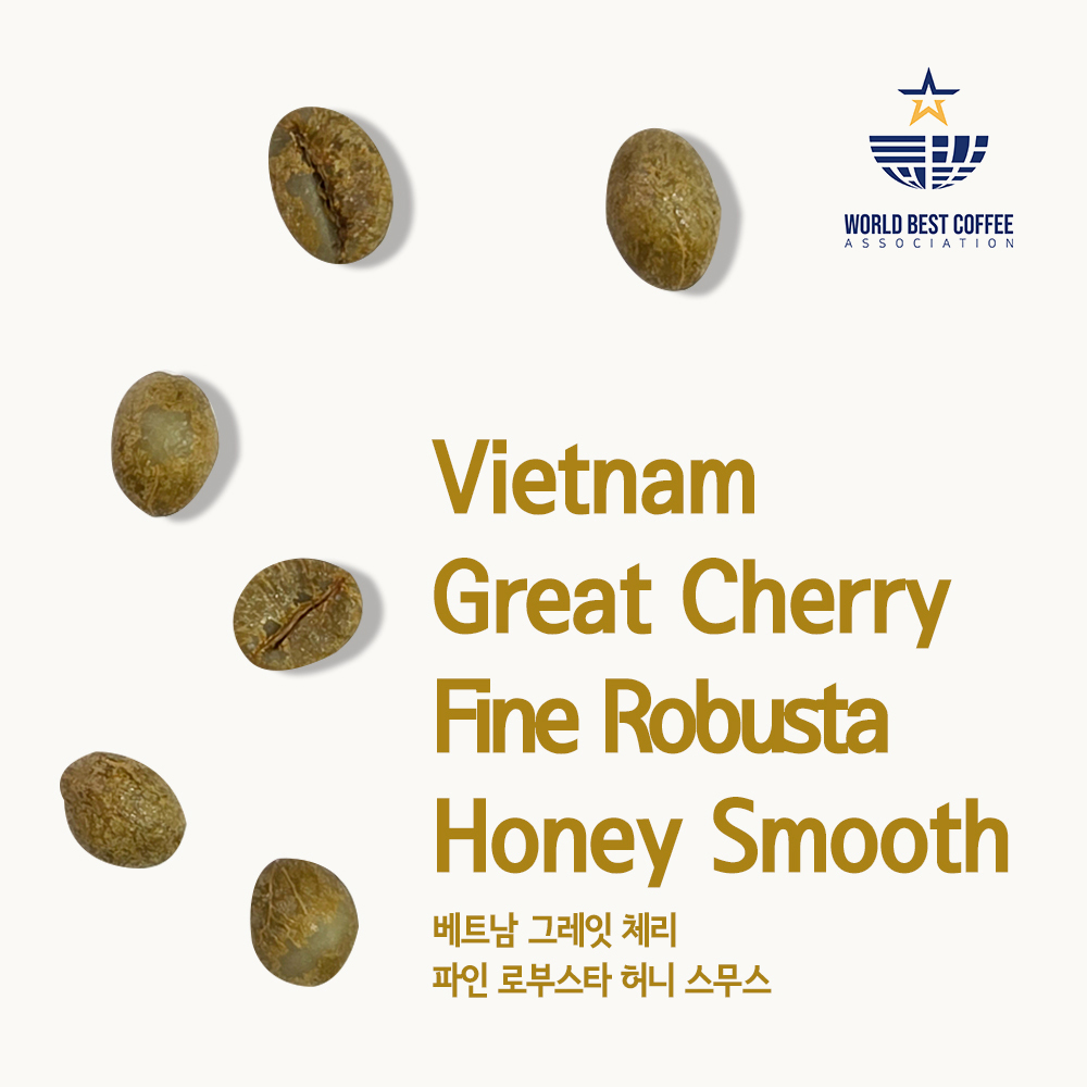 베트남 그레잇 체리 파인 로부스타 허니 스무스_WBB