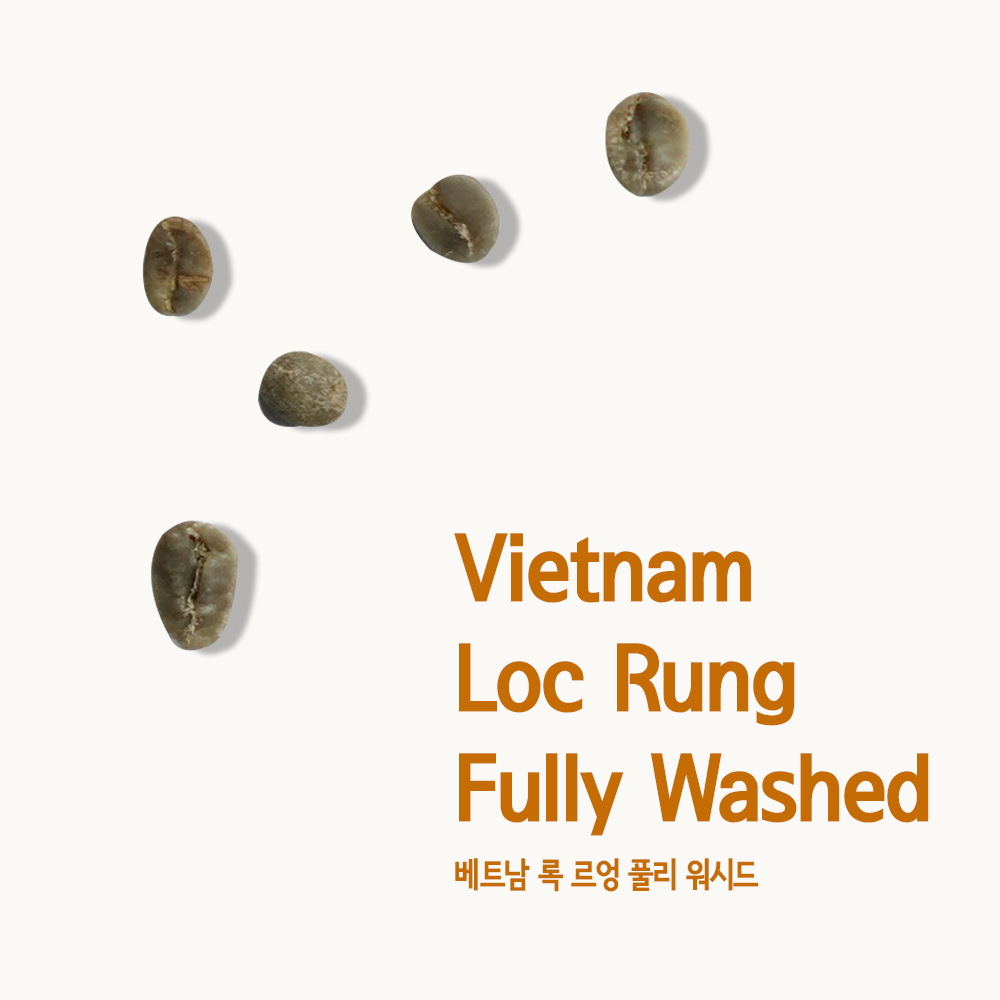 베트남 록 르엉 풀리 워시드
