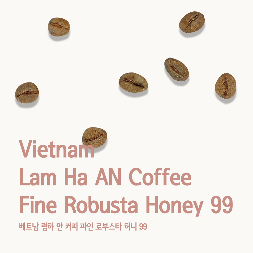 베트남 안 커피 파인 로부스타 허니 99
