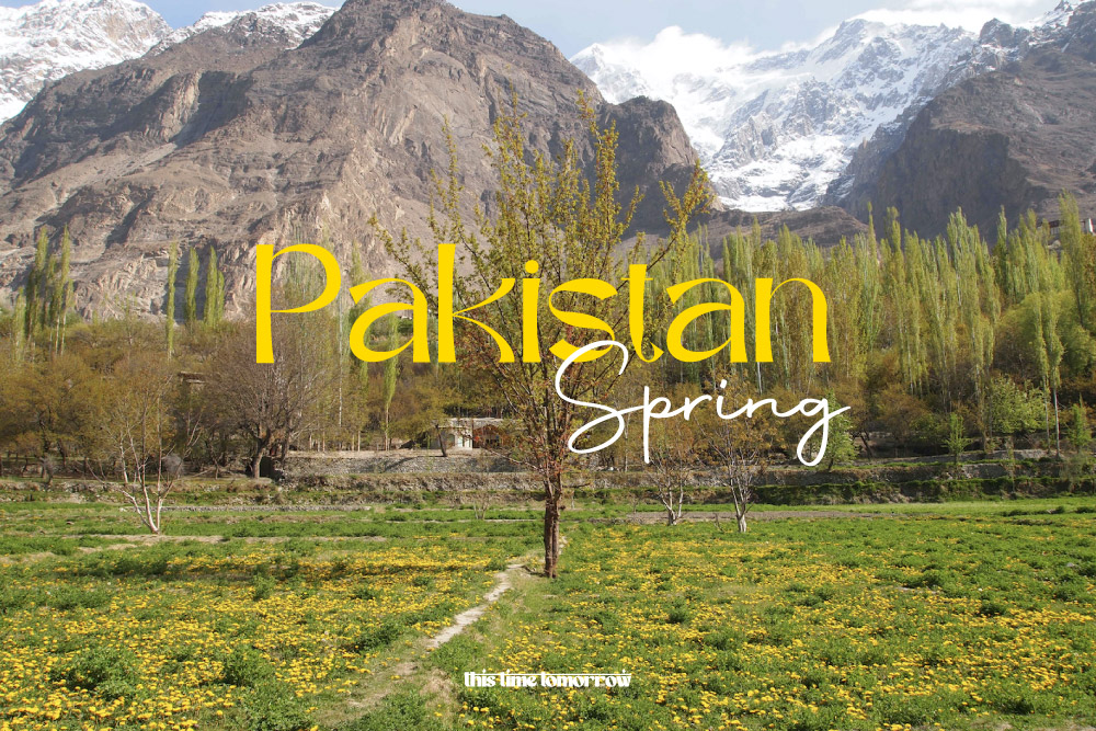 04. pakistan spring