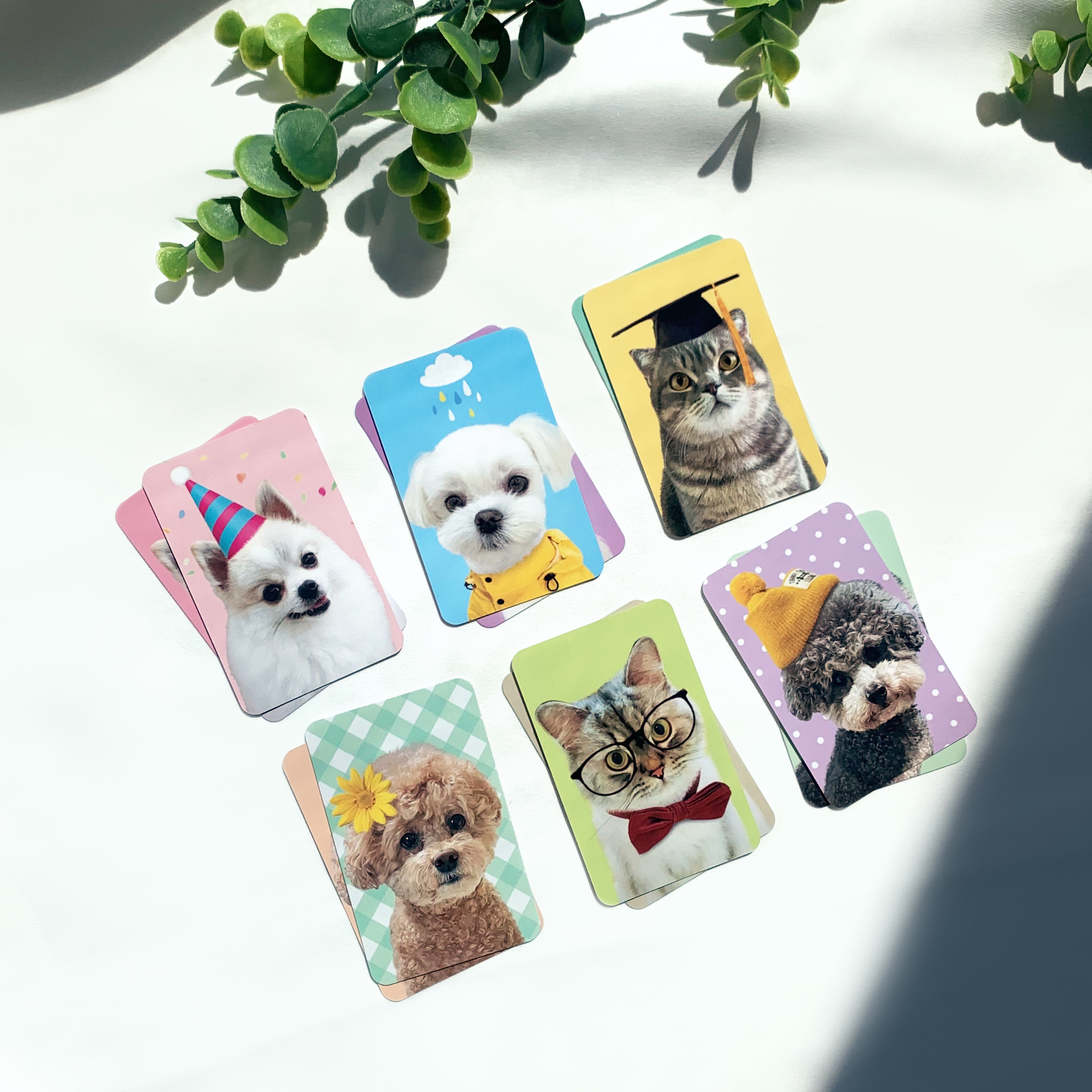 Pet Line] 반려동물 포토카드 Set