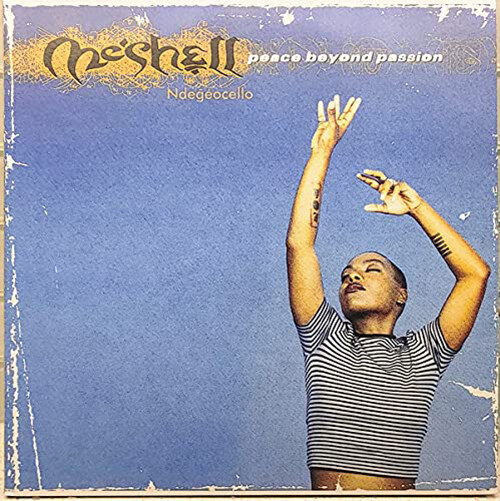 Me'shell Ndegeocello (미셸 뉴게첼로) - 2집 Peace Beyond Passion [블루 믹스 컬러 2LP]